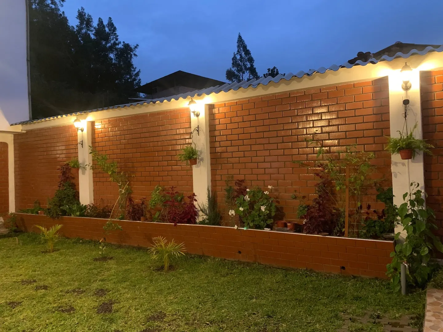 Jardín de Alex's House iluminado al anochecer